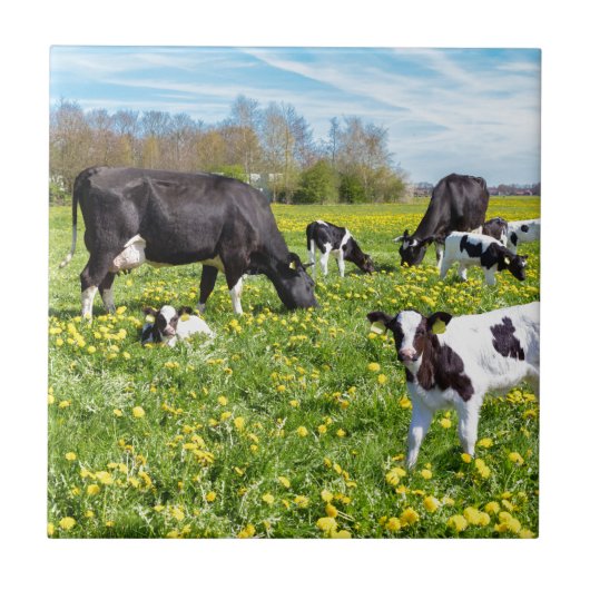 Wiese voll des Löwenzahns mit dem Weiden lassen Fliese (Vorderseite)