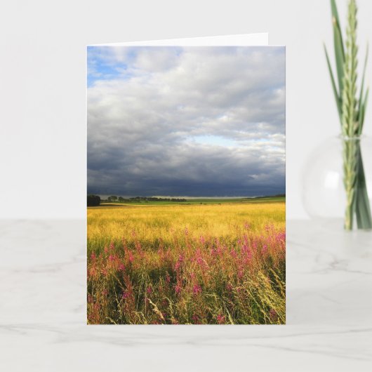 Wiese wild lebender Blume Karte (Vorderseite)