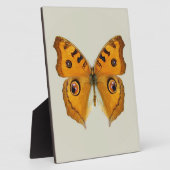 Wiesen-Argus-Schmetterling Fotoplatte (Seite)