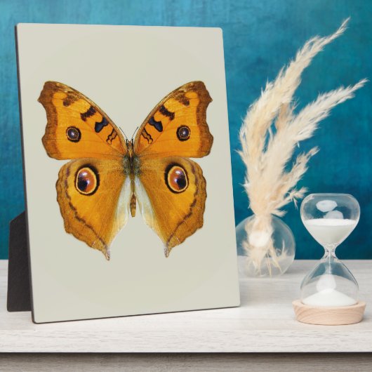 Wiesen-Argus-Schmetterling Fotoplatte (Seite)