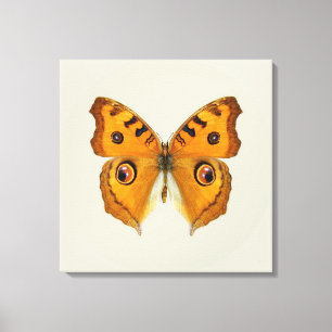 Wiesen-Argus-Schmetterling Leinwanddruck