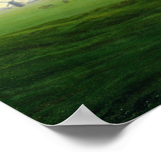 Wiesen bei Greifswald Poster (Ecke)