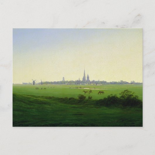 Wiesen bei Greifswald Postkarte (Vorderseite)