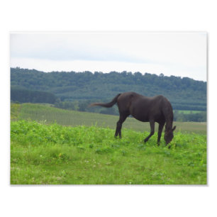 Wiesen der Liebe Fotodruck