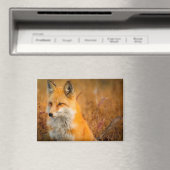 Wiesen-Fuchs-Magnet Magnet (In Situ (Geschirrspüler))