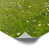 Wiesen-Idyll Poster (Ecke)