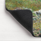 Wiesen im Frühjahr Mousepad (Ecke)