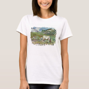 Wiesen im Frühjahr T-Shirt