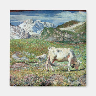 Wiesen im Frühling Magnet