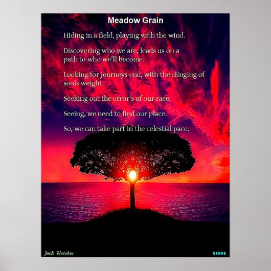 Wiesen-Korn Poster (Vorne)