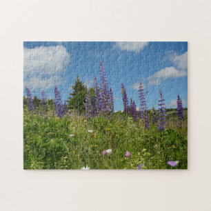 Wiesen mit Lupinen Puzzle