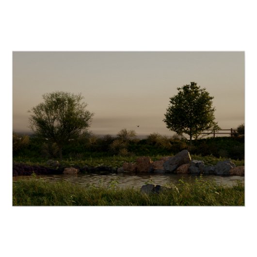 Wiesen See Poster (Vorderseite)