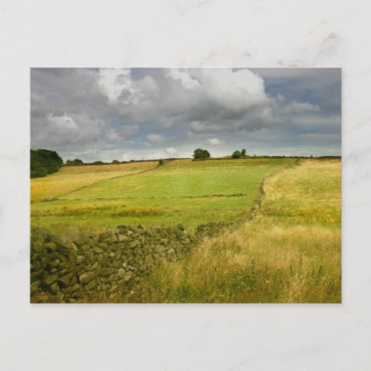 Wiesen und Mauern Postkarte (Vorderseite)