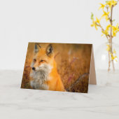 Wiesenfuchs-Grußkarte Karte (Gelbe Blume)