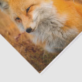 Wiesenfuchspapier Seidenpapier (Ausschnitt)