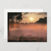 Wiesennebel Postkarte (Vorne/Hinten)