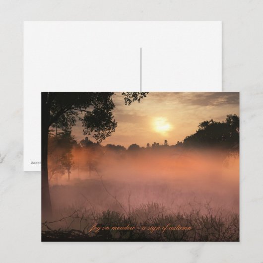 Wiesennebel Postkarte (Vorne/Hinten)