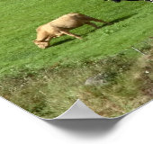 Wiesenposter Poster (Ecke)