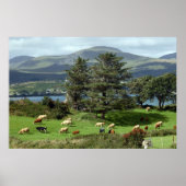 Wiesenposter Poster (Vorne)