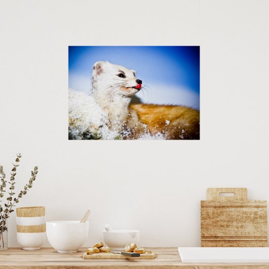 Wiesenposter Poster (Küche)