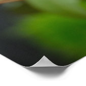 Wiesenrosa-Blume Poster (Ecke)