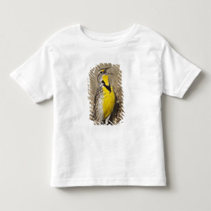 Wiesenstärling (Sturnella neglecta) Kleinkind T-shirt