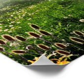 Wiesenweg Poster (Ecke)