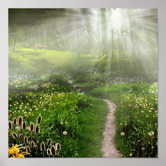 Wiesenweg Poster (Vorne)