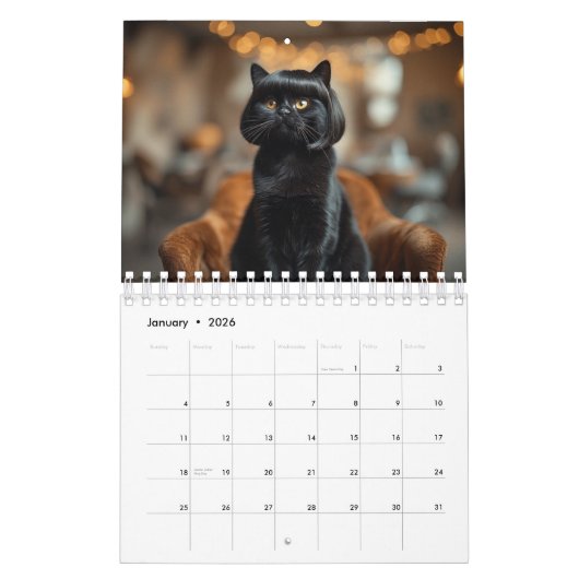 Wigged out Cat Kalender (Jan 2026)