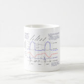 Wiggers Diagramm Kaffeetasse (Mittel)