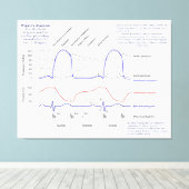 Wiggers-Diagramm Leinwanddruck (Insitu (Holzboden))