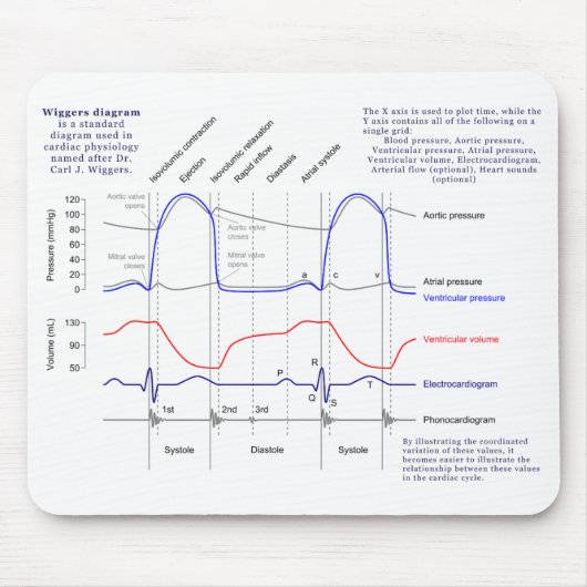 Wiggers Diagramm Mousepad (Vorne)