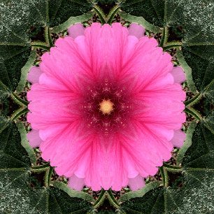 Wigglin'..... Notizblock