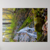 Wigwam Falls, Blue Ridge Parkway, Virginia Poster (Vorne)