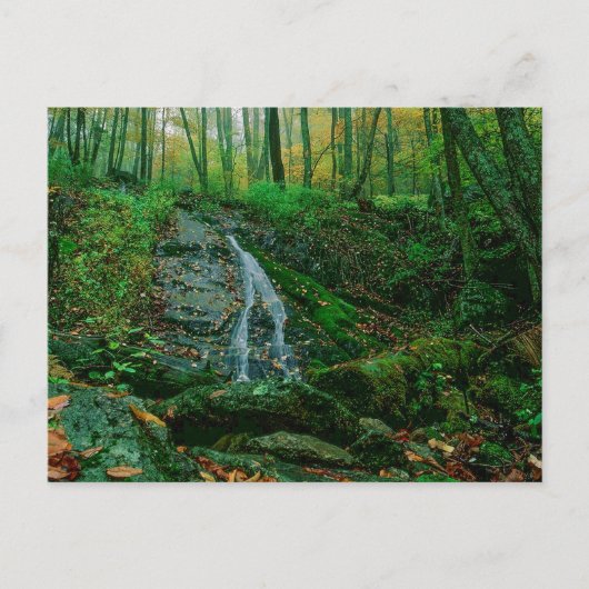 Wigwam Falls in Herbst, Virginia Postkarte (Vorderseite)