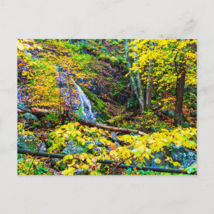 Wigwam Falls in Herbst, Virginia Postkarte