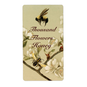 WIHITE SPRING BLUMEN UND HONEY BIE, BEEKEEPER