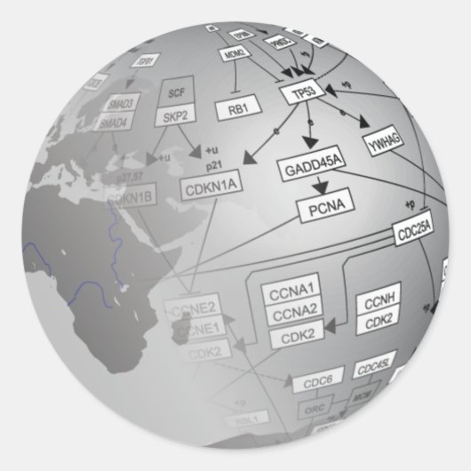 WikiPathways-Logo Runder Aufkleber (Vorderseite)
