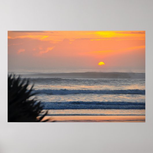 Wilbur von Sea Palm Sunrise Florida Poster (Vorne)