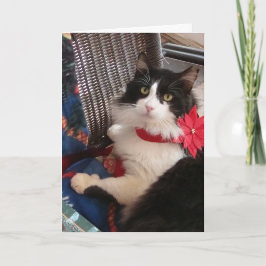 Wilburs Feiertags-Grußkarte Feiertagskarte (Vorderseite)