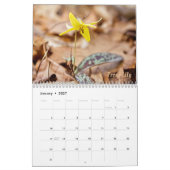 Wild-Abourt-Wildblumen #3-Kalender Kalender (Jan 2027)