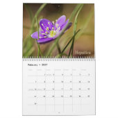 Wild-Abourt-Wildblumen #3-Kalender Kalender (Feb 2027)