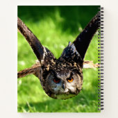 Wild-Adler-Owl im vollen Flug Notizblock (Rückseite)