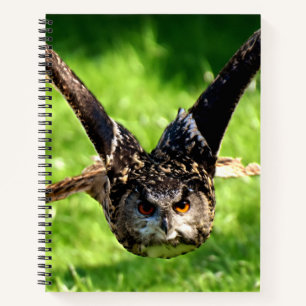 Wild-Adler-Owl im vollen Flug Notizblock