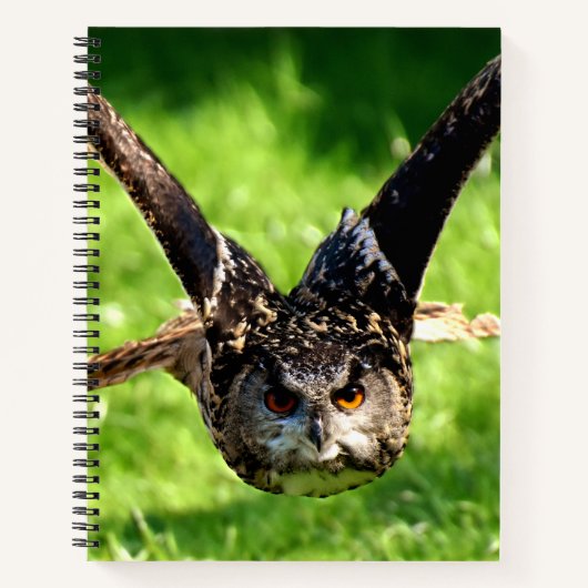 Wild-Adler-Owl im vollen Flug Notizblock (Vorderseite)
