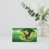 Wild-Adler-Owl im vollen Flug Visitenkarte (Stehend Vorderseite)