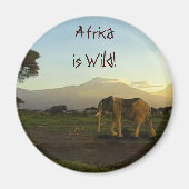 Wild Africa Tierfreunde Big Five Magnet (Vorne)