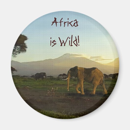 Wild Africa Tierfreunde Big Five Magnet (Vorne)
