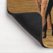 Wild Africa Tierfreunde Big Five Mousepad (Ecke)