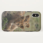Wild African Lion Cubs Case-Mate iPhone Hülle (Rückseite (Horizontal))